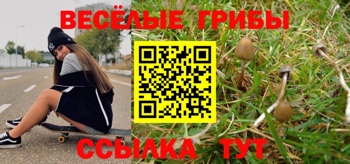 Псилоцибиновые грибы Psilocybe  Вход с VPN  Чусовой 